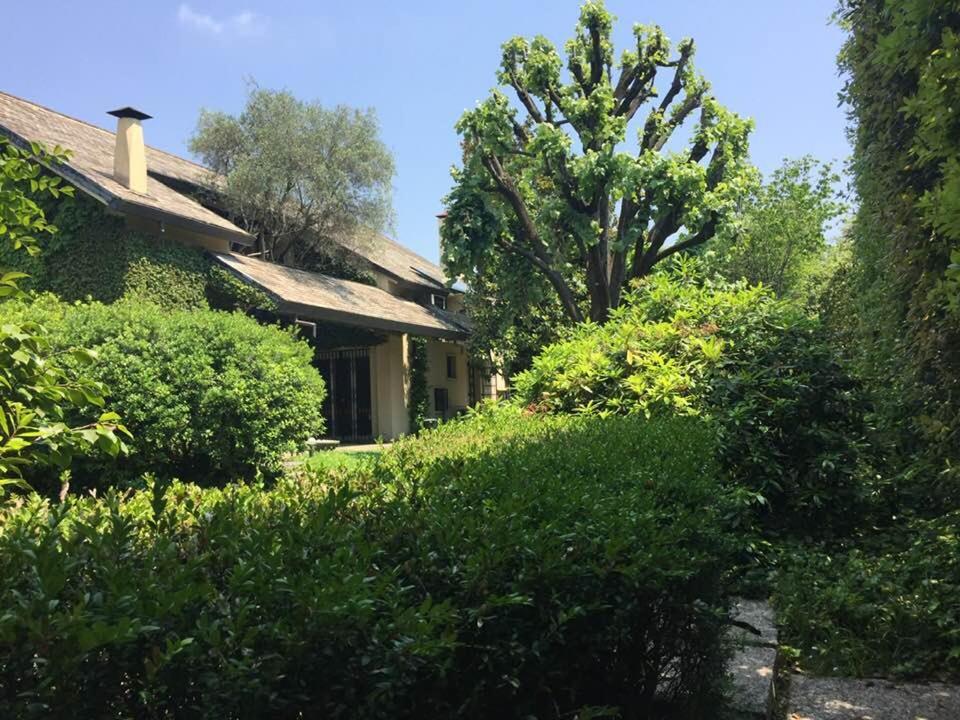 Xampilla'S Business City Mini Apartment Bassano バッサーノ・デル・グラッパ エクステリア 写真